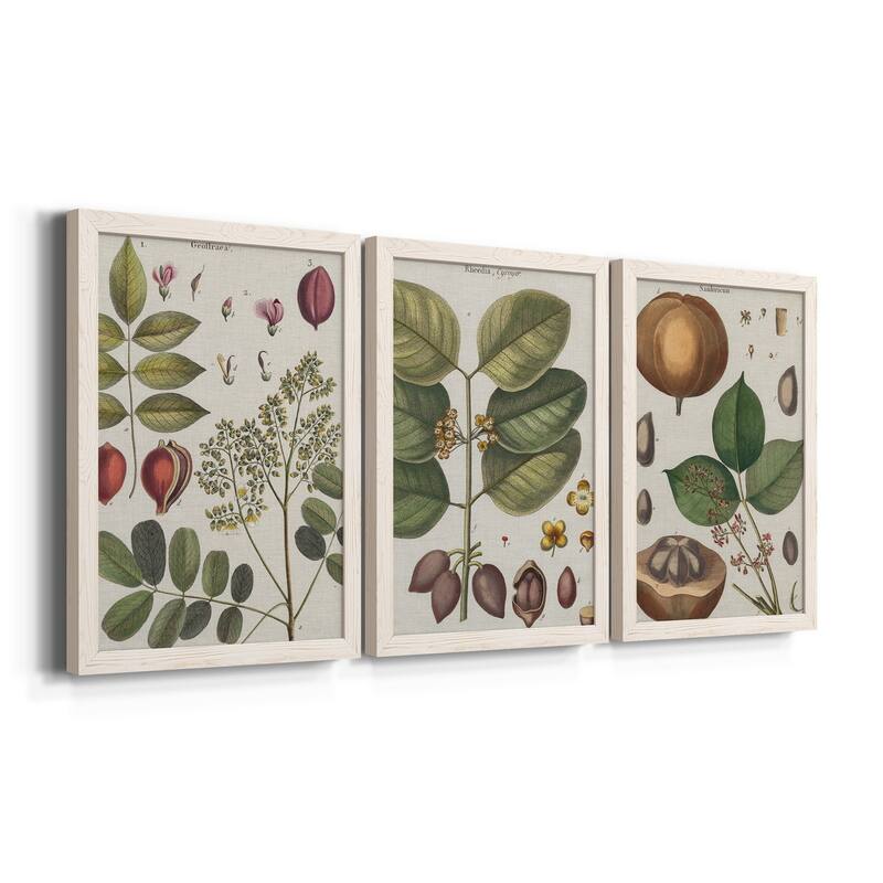 Exotic Botanique I-Premium Framed Canvas - Ready to Hang - Multi-Color ...