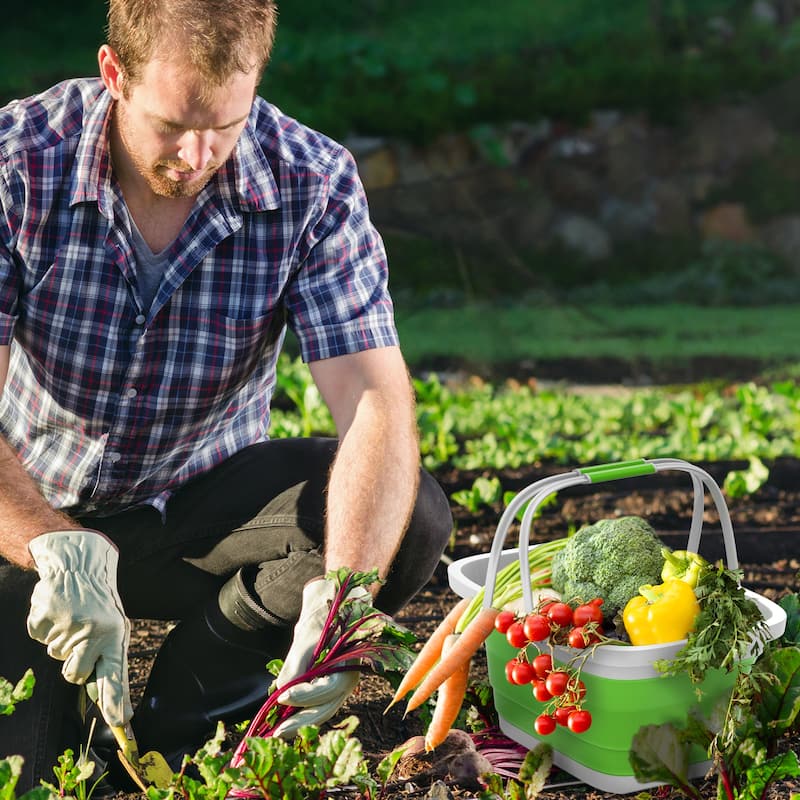 Collapsible Laundry Basket-Multiuse Organizer/Storage Container by Lavish Home