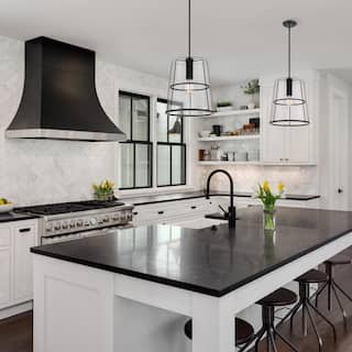 Alonzo 14 in. 1-Light Matte Black Transitional Pendant Light