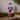 Nutcracker Statue, New York Giants - 4.92''W x 4.53''H x 13.78