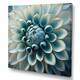 Designart 'Blue,White Dahlia Flowers I' Floral Dahlia Canvas Wall Art ...