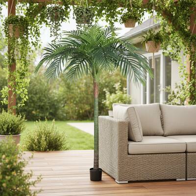 HomeRoots 63" Green Artificial Palm Tree in a Black Pot - 6.69 in. x 62.99 in. x 6.69 in.