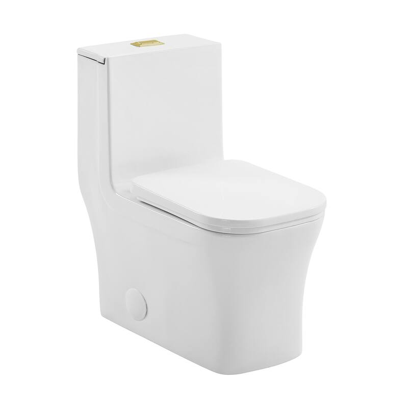 Concorde One Piece Square Toilet Dual Flush, Black Hardware 1.1/1.6 gpf