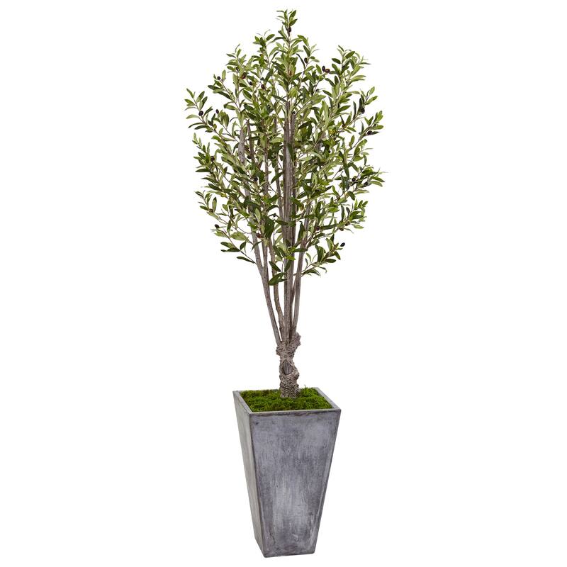 6' Olive Artificial Tree with Gray Stone Planter