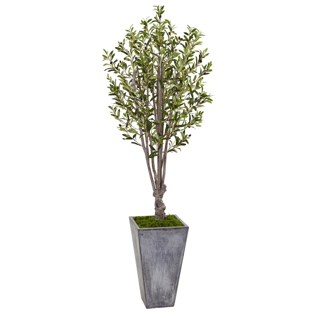 6' Olive Artificial Tree with Gray Stone Planter