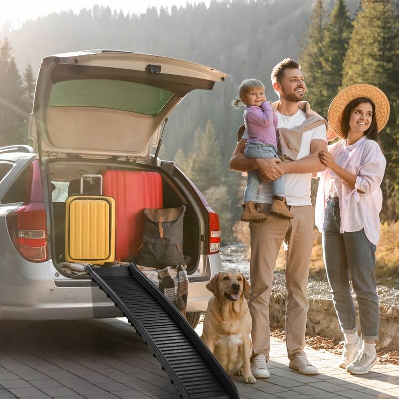 Plastic Folding Dog Ramp & Stairs