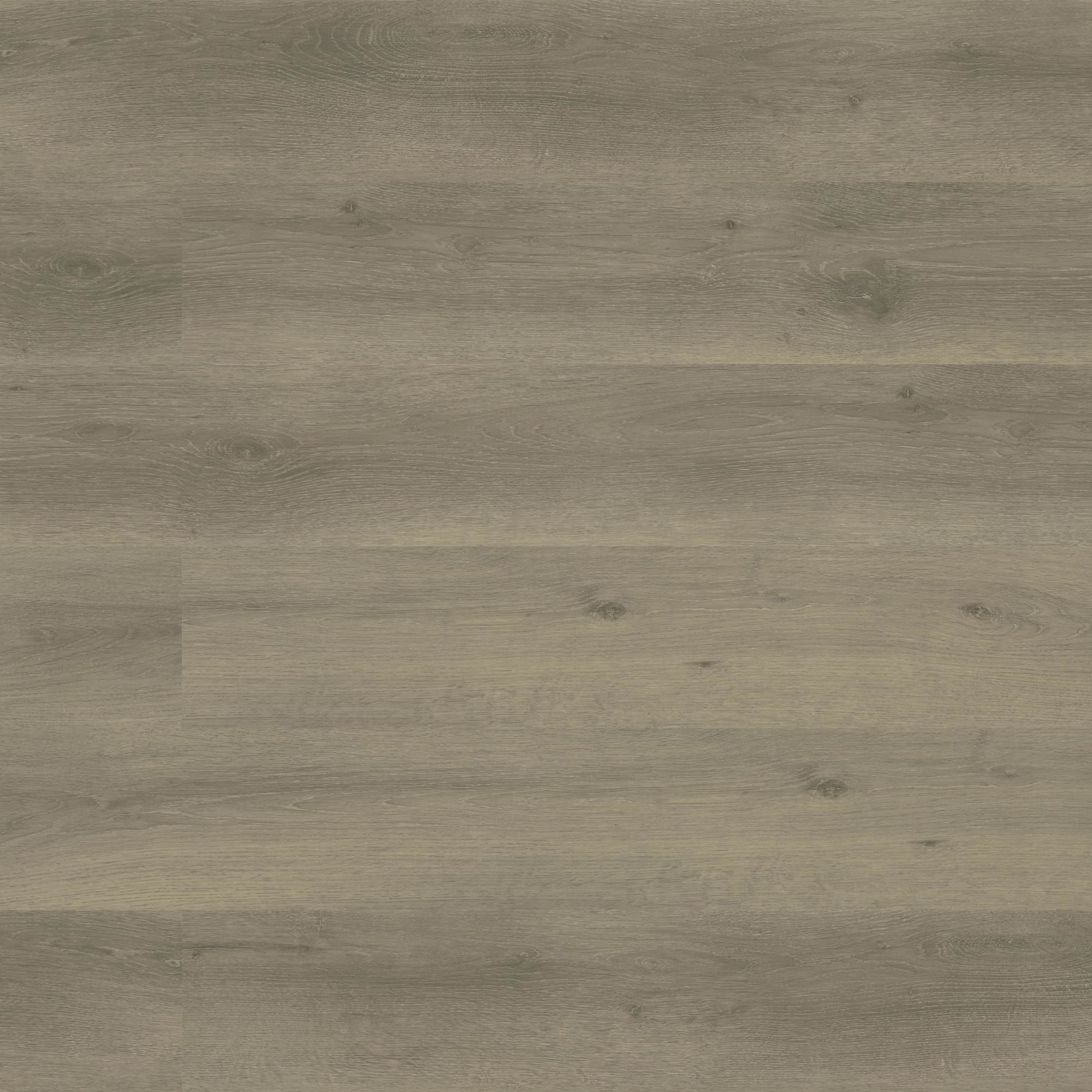 Option Conway Timber