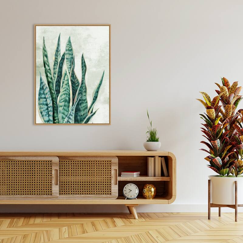 Amanti Art Reaching Snake Plant by PI Studio Framed Canvas Wall Art Print - Sylvie Maple