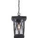 preview thumbnail 4 of 3, Grover 1-Light Outdoor Hanging Lantern in Mystic Black
