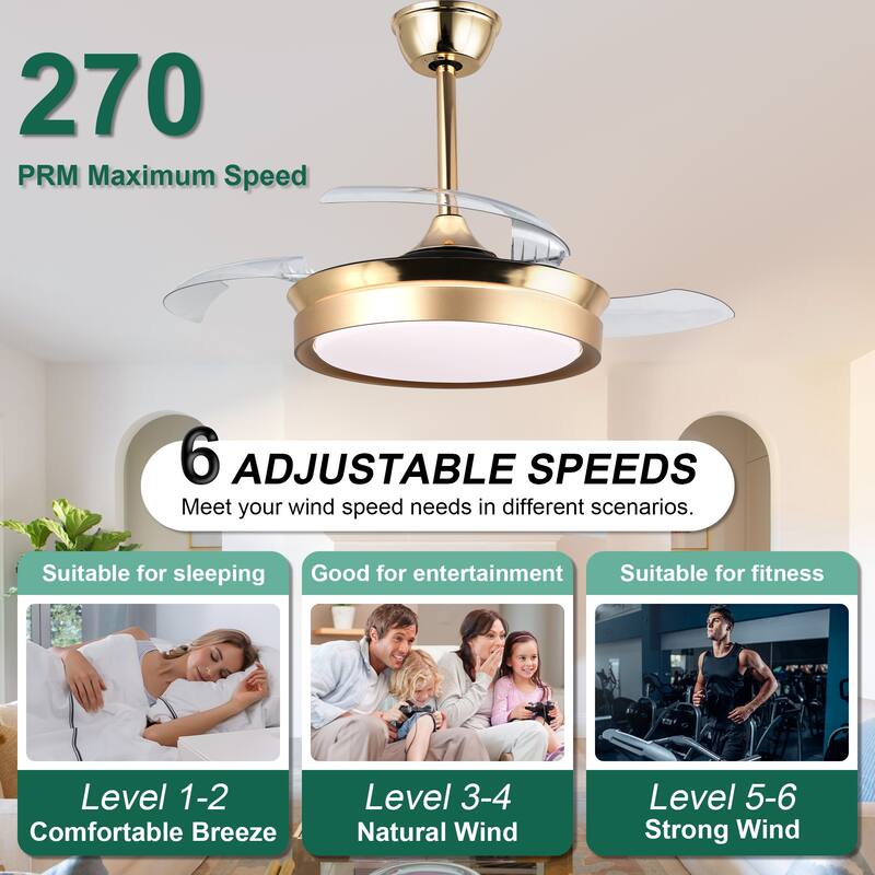 Cusp Barn 36 Inch Retractable Ceiling Fan with Lights, Modern 6 Speeds Silent DC Motor Fandelier Ceiling Fan for Bedroom
