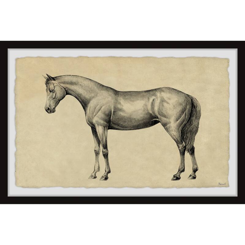 Powerful Mover Framed Print