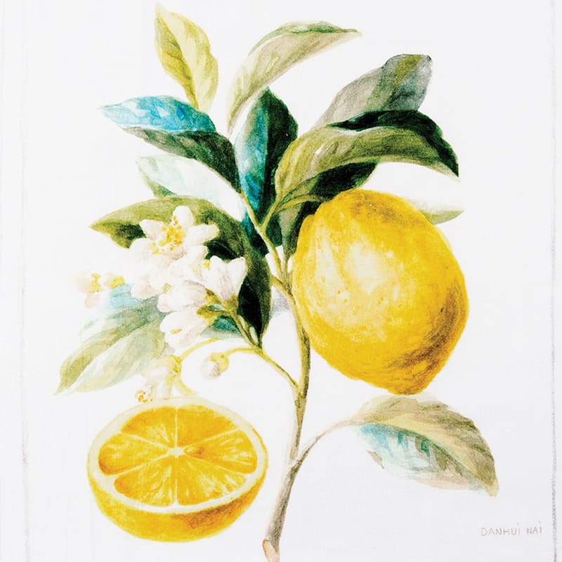Citrus Stripe Cotton Printed Flour Sack Kitchen Towel