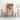 Wood Dining Chairs Dirt-free Wood Chair Table Chair Living Room Chair