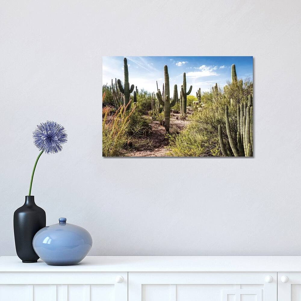 iCanvas "Into the Desert" by Bill Carson Photography Canvas Print