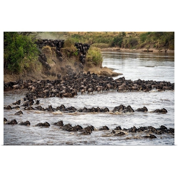 Shop Wildebeests Crossing Mara River Serengeti National