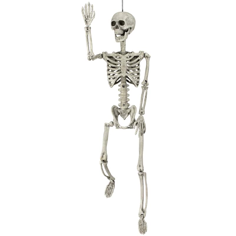 36" Plastic Skeleton