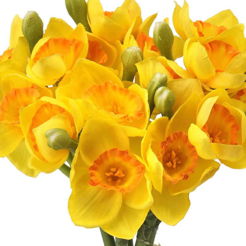 12" Narcissus Bundle