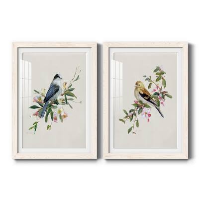 Spring Song Gray Jay-Premium Framed Print - Ready to Hang