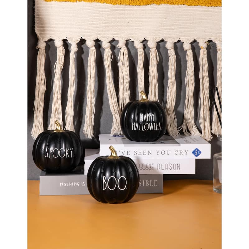 RAE DUNN Thanksgiving Decorative Pumpkins - Set Of 3 - Black