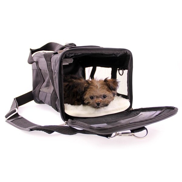 sas approved pet carrier