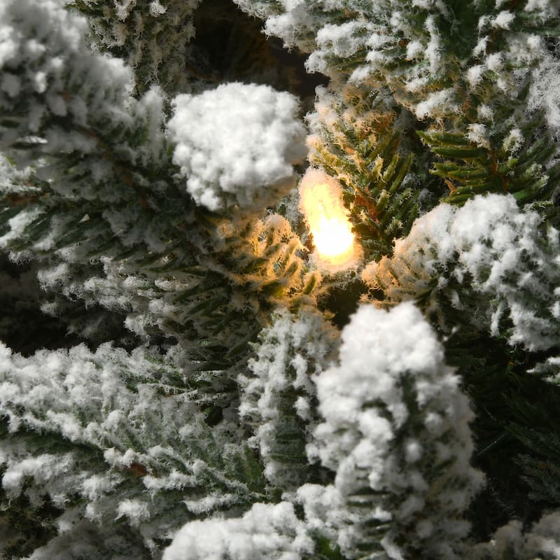 National Tree Company 4 ft. Iceland Fir Entrance Tree with Clear Lights - 4 Foot