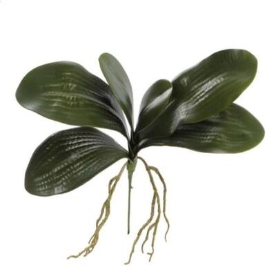 16" Phalaenopsis Leaf Cluster, 4-Pack β Realistic Silk Orchid Leaves - Green