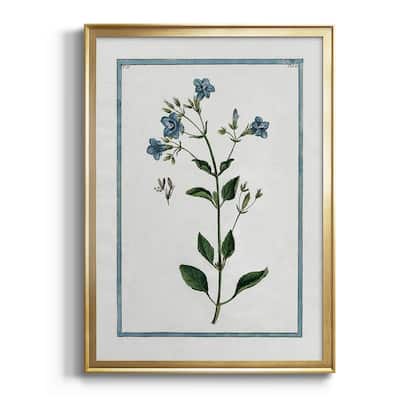 Shabby Chic Botanical II Premium Framed Print - Ready to Hang