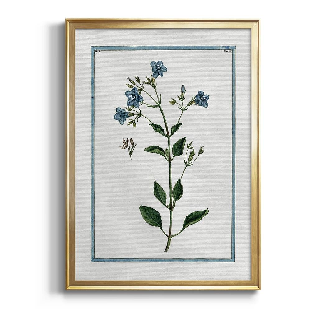 Shabby Chic Botanical II Premium Framed Print - Ready to Hang