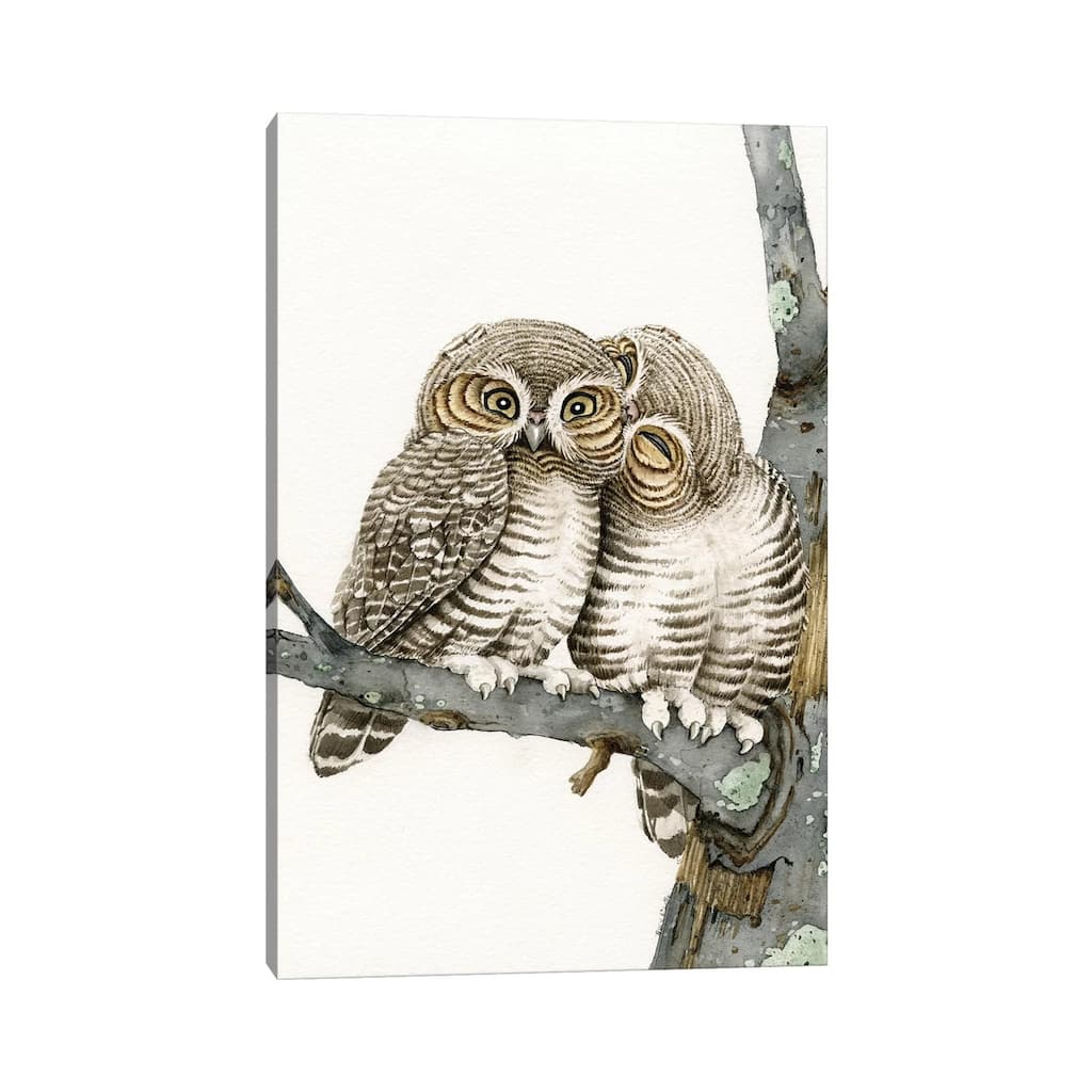 iCanvas "Owl Smooch" by Tracy Lizotte Canvas Print