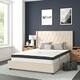 Option Beige