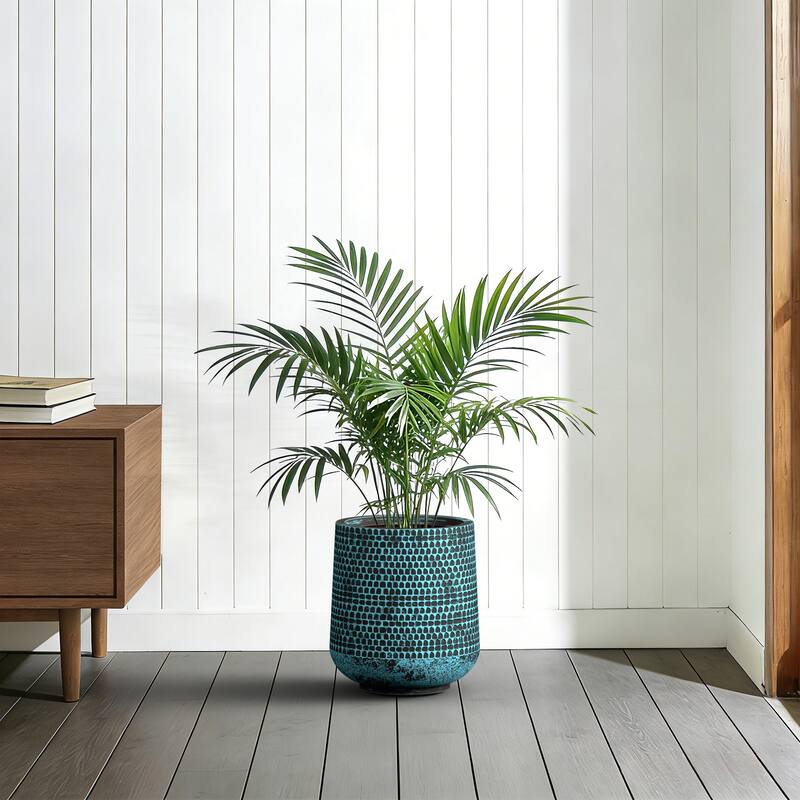 Concrete Tall Round Planter Pot with Drainage Holes, Upgraded Interior