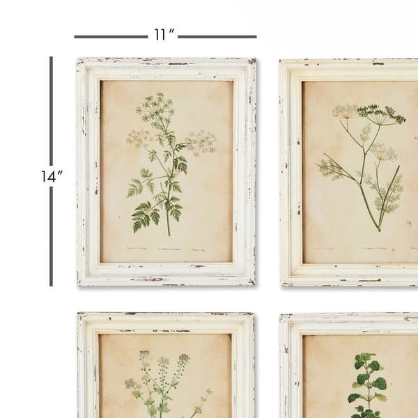 Framed Wild Flower Botanical Prints, Set Of 12 - Bed Bath & Beyond 