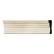 Option Poplar