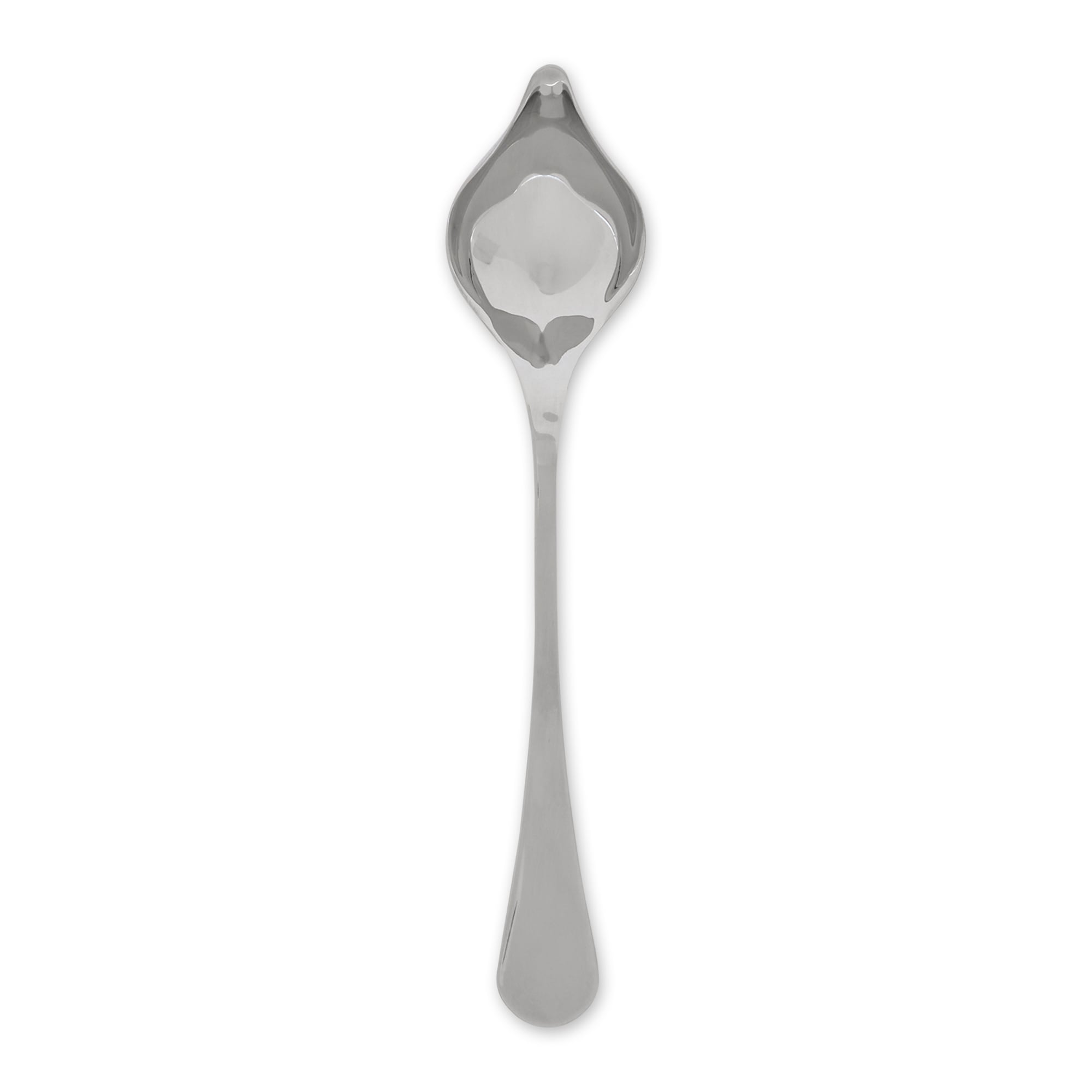 https://ak1.ostkcdn.com/images/products/is/images/direct/ae2a98369a4404c632a968d382ad8f0ce51da629/Stainless-Steel-Sauce-Spoon.jpg