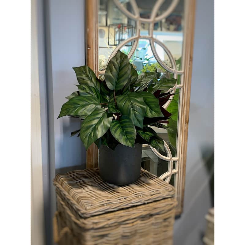 Outdoor UV Resistant Aglaonema Plant in a Fiberstone Pot - Green