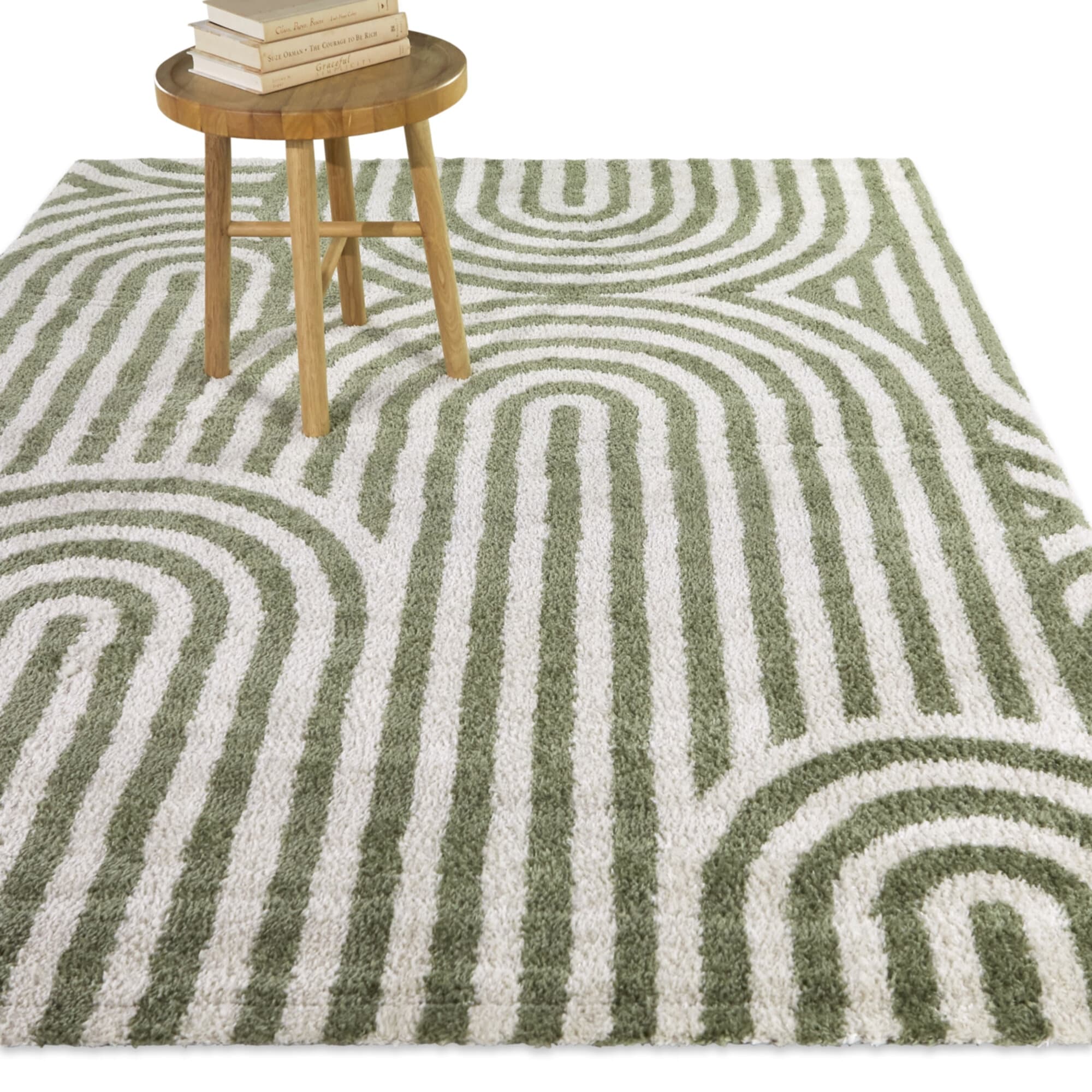 Gerhard Modern Stripe Area Rug