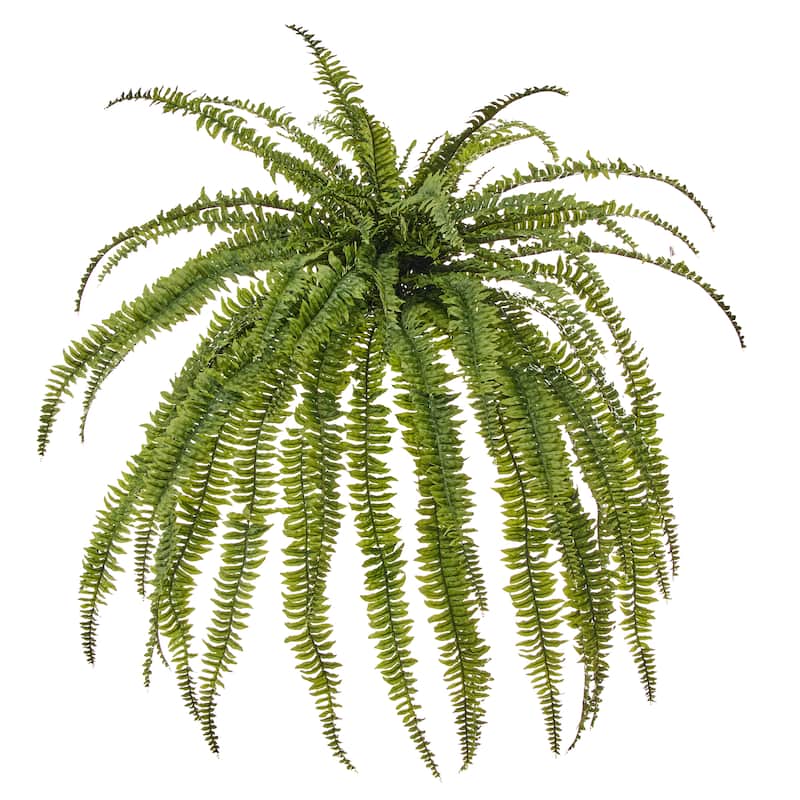 45"Wx57"L UV Jumbo Boston Fern