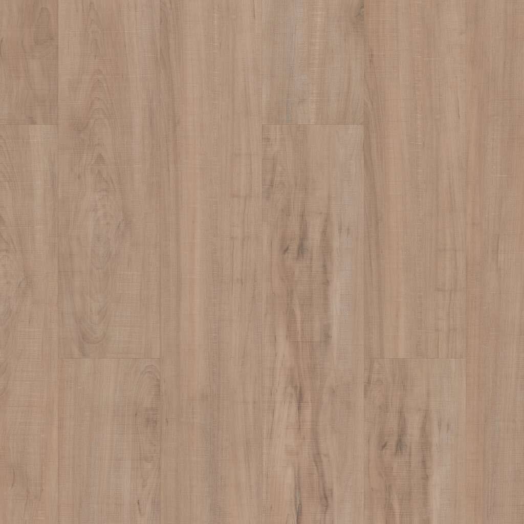 Option Chatter Oak