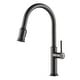 preview thumbnail 93 of 144, Kraus 2-Function 1-Handle 1-Hole Pulldown Sprayer Brass Kitchen Faucet KPF-1680 - 17 3/4" H (Pulldown) w/ Dispenser - ORB - Oil Rubbed Bronze