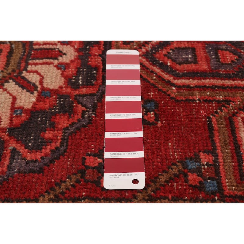 ECARPETGALLERY Hand-knotted Sarabi Red Wool Rug - 2'11 x 10'3