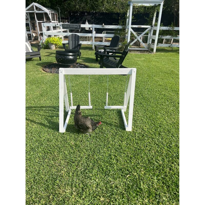 Zylina Play-N-Roost Double Swing - N/A - 36x20x29