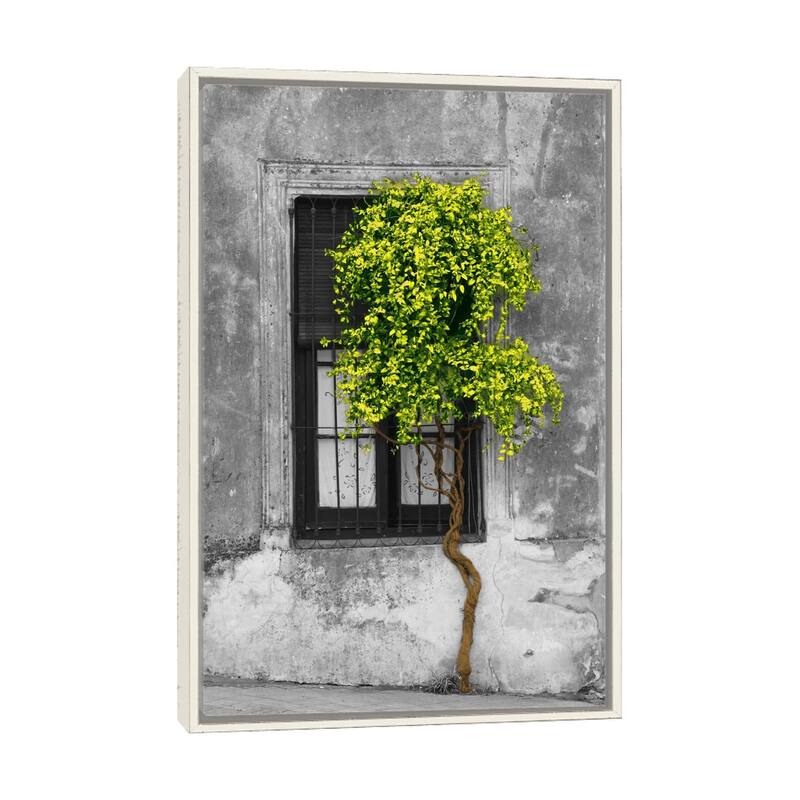 Large Wall Art, Framed Art, Modern Art, Plants, Botanical, by Panoramic Images - Ivory