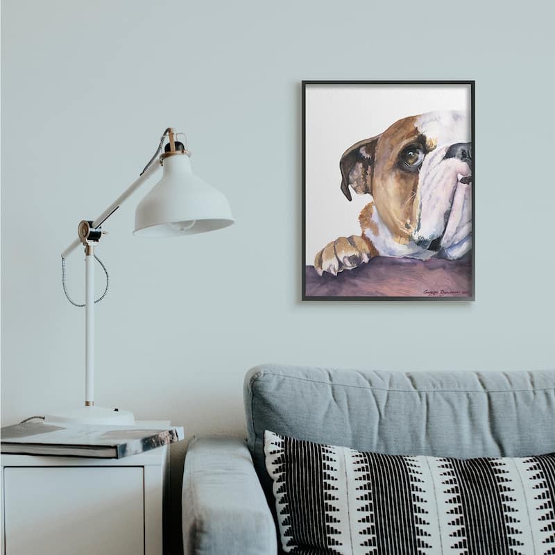 Stupell Curious English Bulldog Gaze Pet Dog Portrait Framed Wall Art