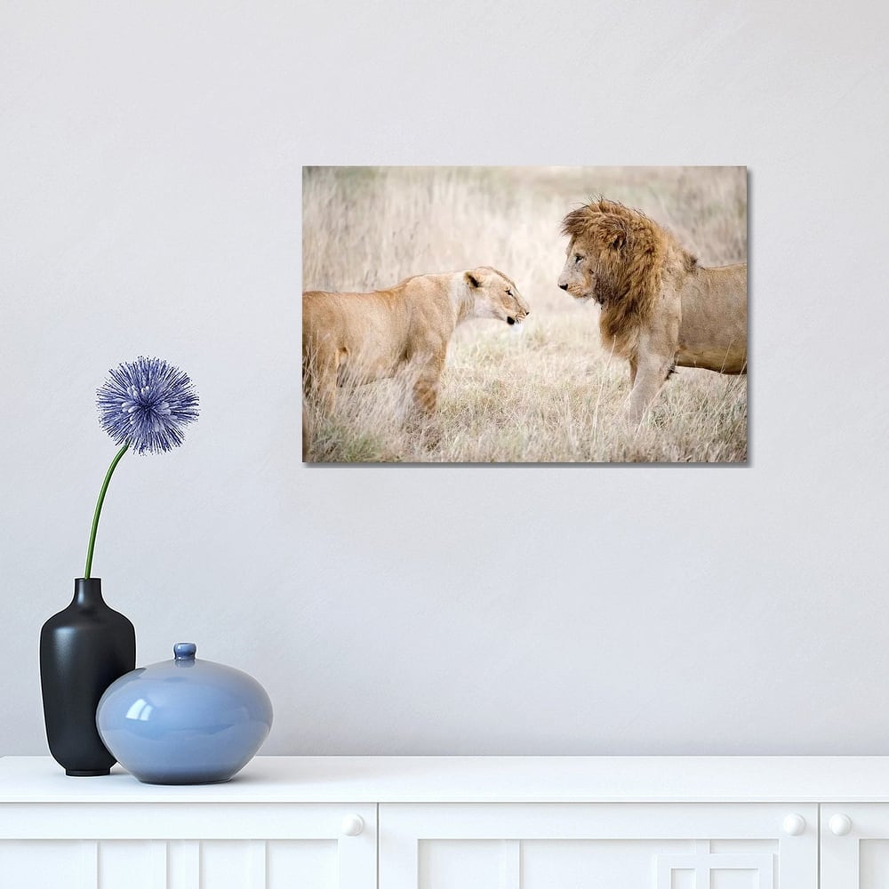 iCanvas "Lion And A Lioness Standing Face To Face In A Forest, Ngorongoro Crater, Tanzania" by Panoramic Images Canvas Print