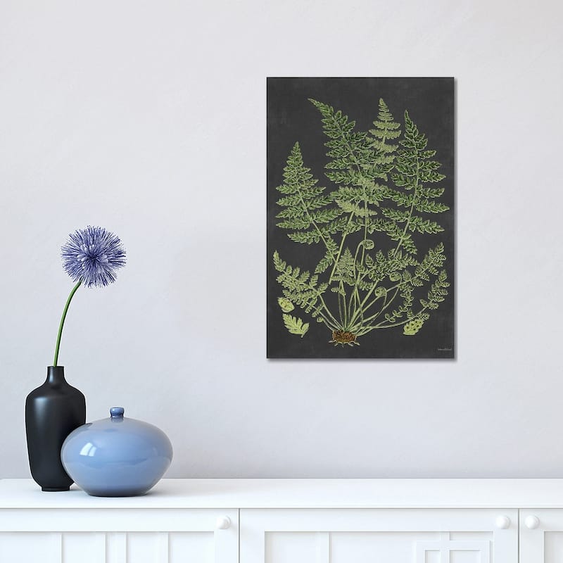iCanvas "Fern Study" by lettered & lined Canvas Print - 18x12x1.5