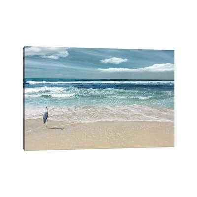 iCanvas "Nature's Symphony" by Nan Canvas Print