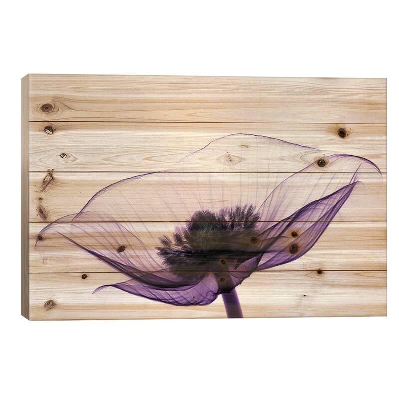 Anemone II Print On Wood by Robert Coop - Multi-Color - 26x40x1.5
