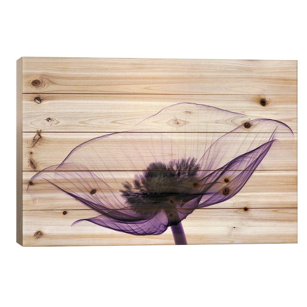 Anemone II Print On Wood by Robert Coop - Multi-Color