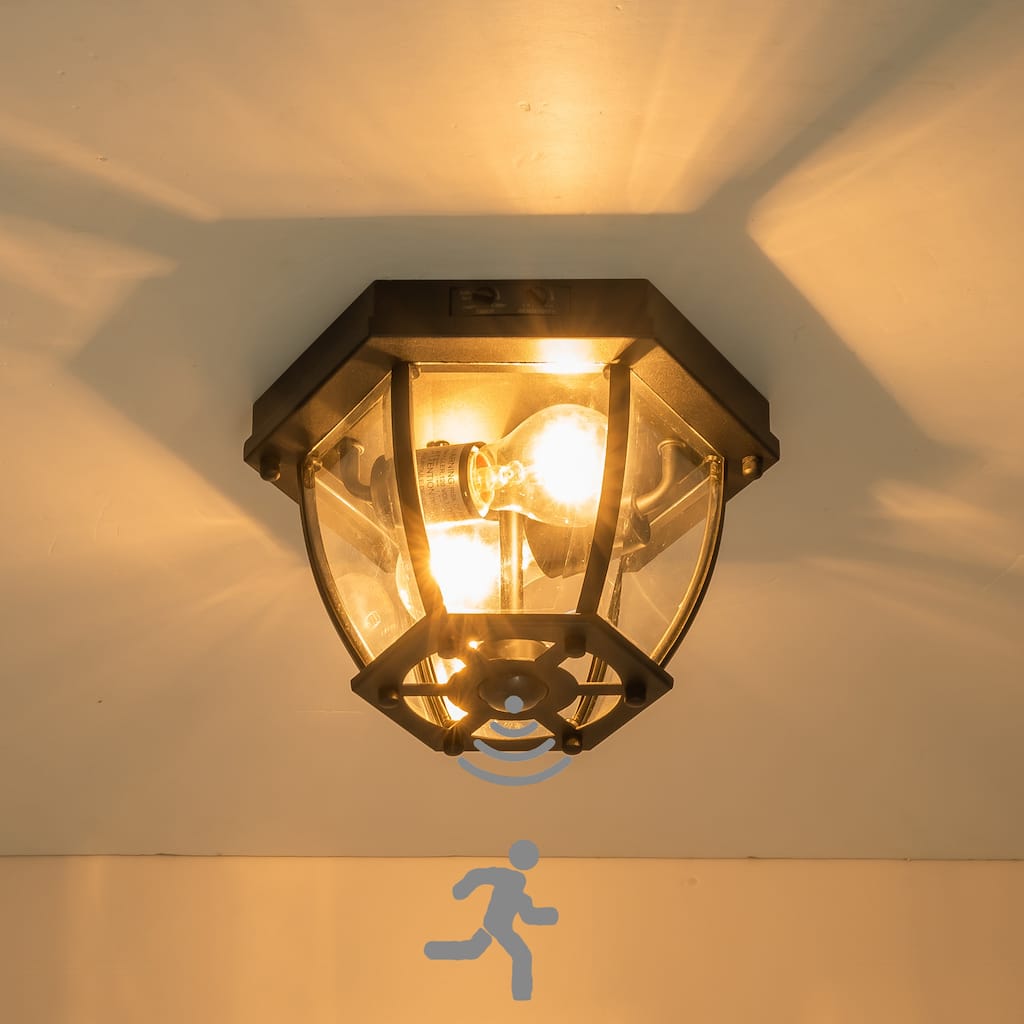 C Cattleya 2-Light Matte Black Motion Sensor Outdoor Flush Mount Ceiling Light