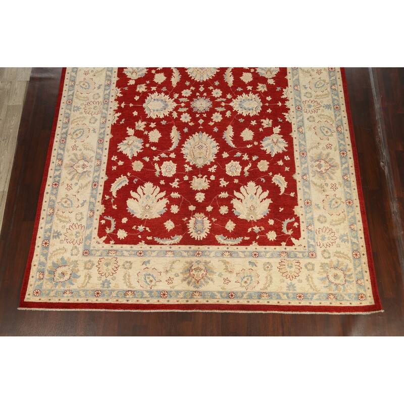 Vegetable Dye Floral Ziegler Oriental Wool Area Rug Handmade Carpet - 10'1" x 13'8"